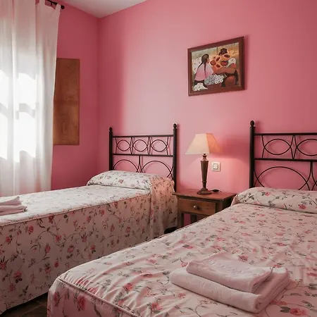 Acebuche - Valle Del Ambroz *