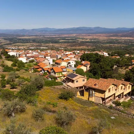 Acebuche En Valle Del Ambroz *