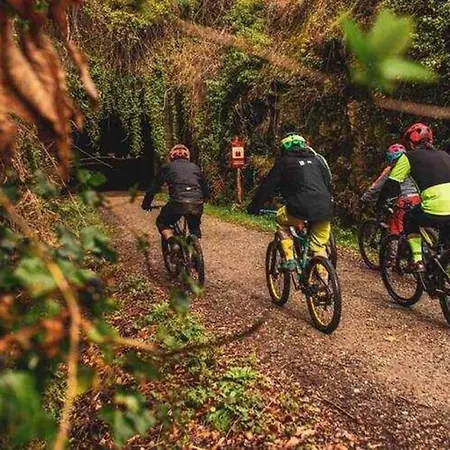 Acebuche - Valle Del Ambroz, Caceres בית כפרי