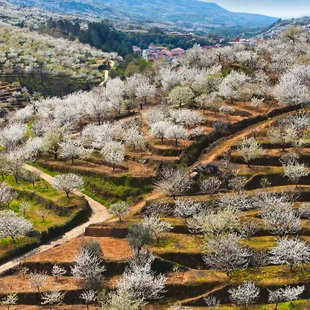 Casas Rurales Acebuche, Descubre el Otoño Mágico en el Valle de Ambroz * Casas del Monte
