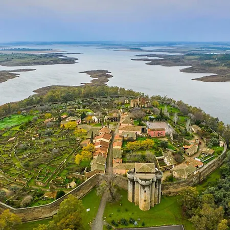 Acebuche En Valle Del Ambroz *