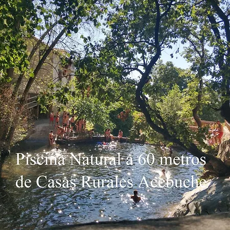 Acebuche - Valle Del Ambroz * Casas del Monte