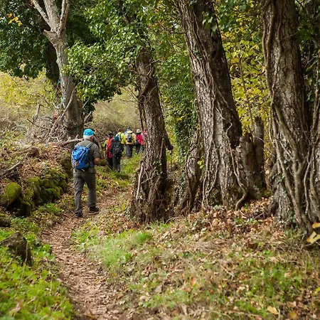 Acebuche, Descubre El Otoño Mágico En El Valle De Ambroz Casa de Campo