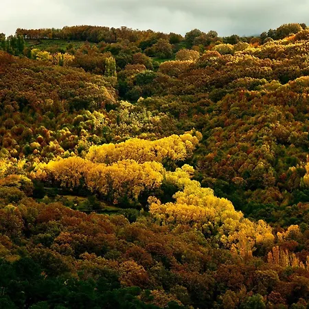 منزل ريفي Acebuche - Valle Del Ambroz Casas del Monte