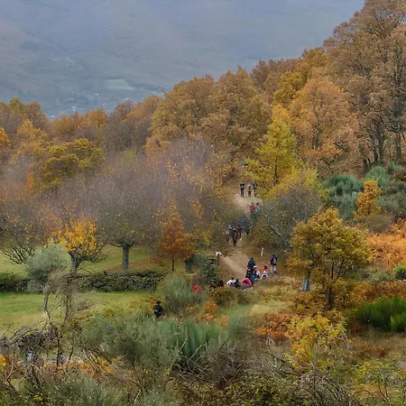 Casas Rurales Acebuche, Descubre el Otoño Mágico en el Valle de Ambroz Casas del Monte