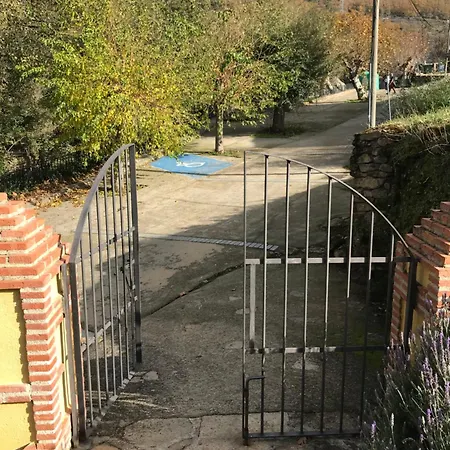 Acebuche En Valle Del Ambroz Casas del Monte