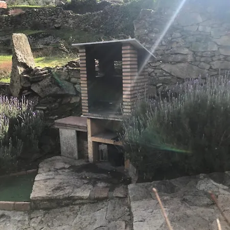 Acebuche En Valle Del Ambroz