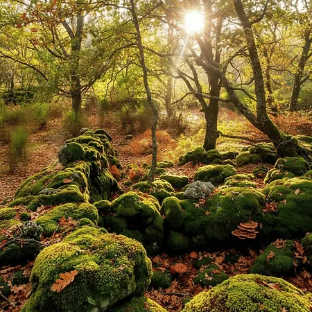 Country house Acebuche En Valle Del Ambroz *