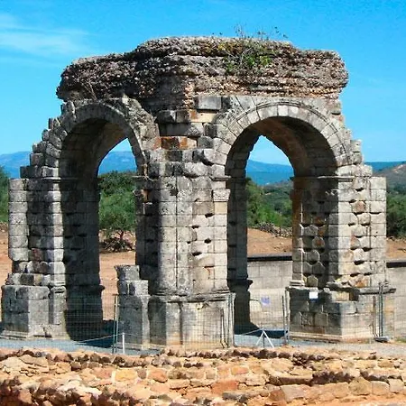 Acebuche En Valle Del Ambroz