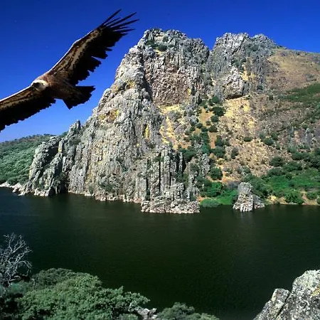 Acebuche En Valle Del Ambroz 乡村民宿 Casas del Monte