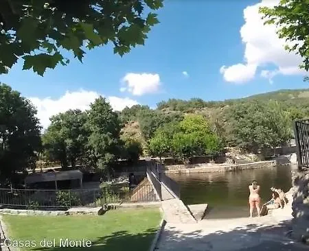 Acebuche En Valle Del Ambroz *