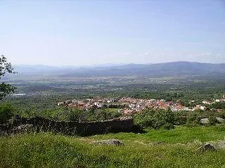 Acebuche - Valle Del Ambroz, Caceres *