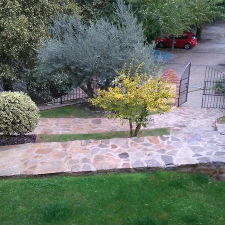 Acebuche En Valle Del Ambroz