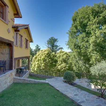 Acebuche En Valle Del Ambroz *