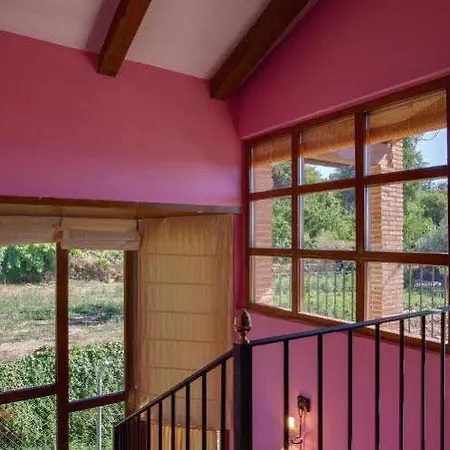 Acebuche En Valle Del Ambroz *