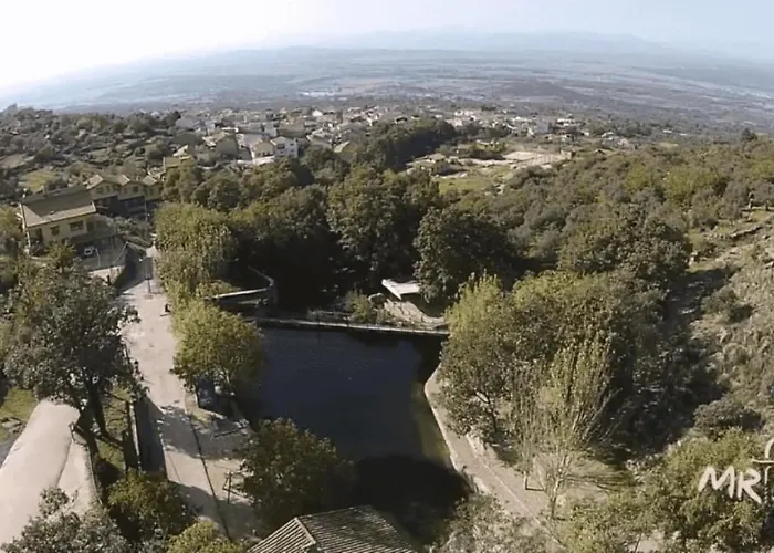 Acebuche En Valle Del Ambroz *