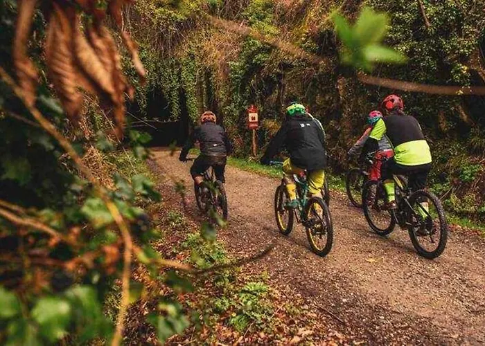 Casa Rural Acebuche - Valle Del Ambroz, Caceres Country house