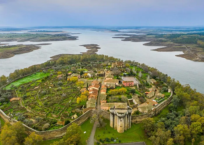 Acebuche En Valle Del Ambroz *