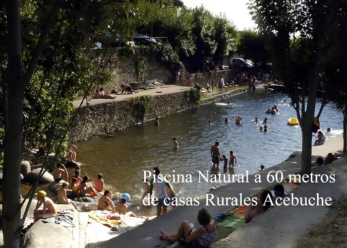 Acebuche En Valle Del Ambroz * Casas del Monte