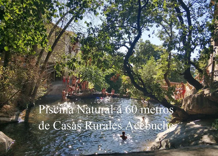 Acebuche En Valle Del Ambroz * Casas del Monte