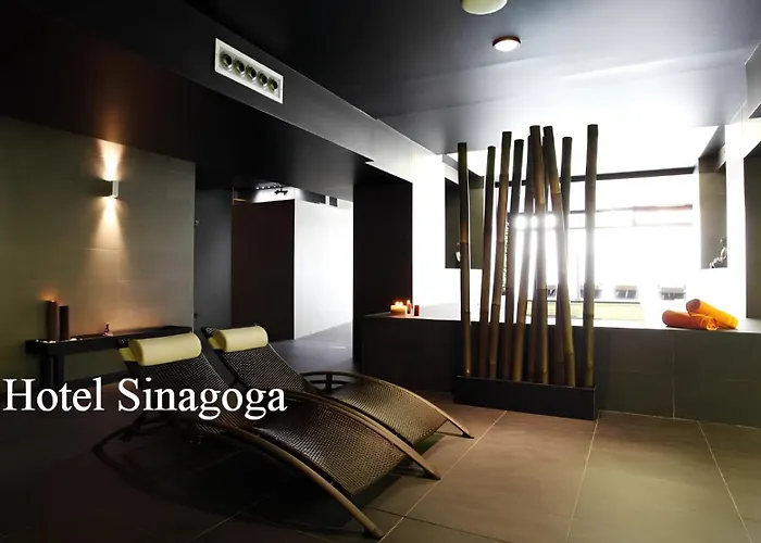 Acebuche En Valle Del Ambroz * Casas del Monte