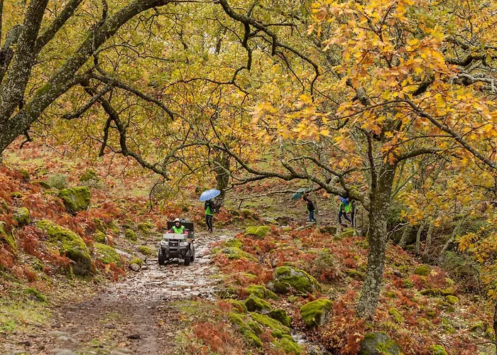 Casa Rural Acebuche - Valle Del Ambroz, Caceres