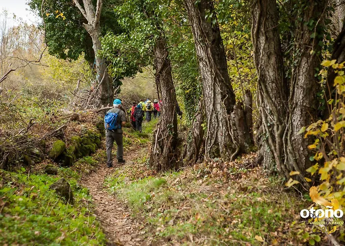 Acebuche En Valle Del Ambroz Venkovský dům