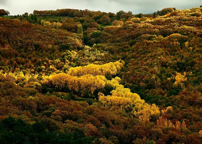 Venkovský dům Acebuche En Valle Del Ambroz Casas del Monte