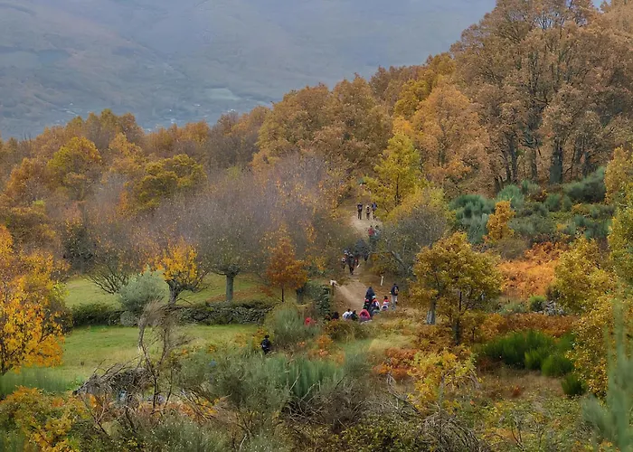 Casa Rural Acebuche - Valle Del Ambroz, Caceres Casas del Monte