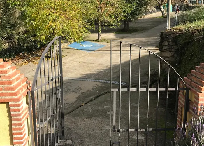 Acebuche En Valle Del Ambroz Casas del Monte