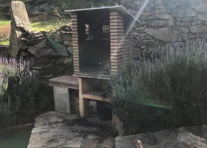 Acebuche En Valle Del Ambroz