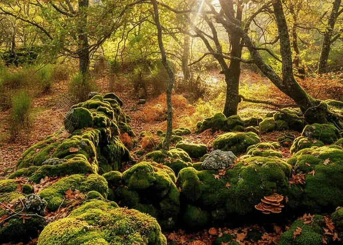 Venkovský dům Acebuche En Valle Del Ambroz *