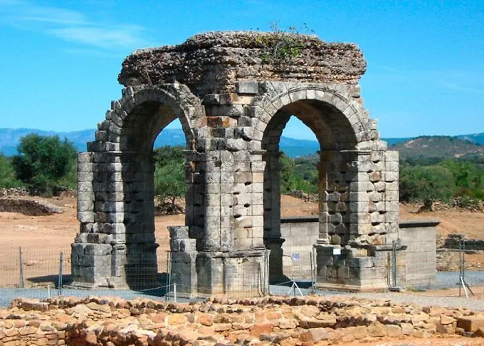 Acebuche En Valle Del Ambroz