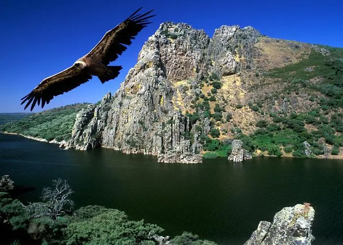 Casa Rural Acebuche - Valle Del Ambroz, Caceres Country house Casas del Monte