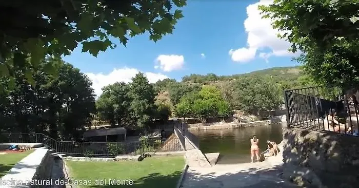 Acebuche En Valle Del Ambroz *