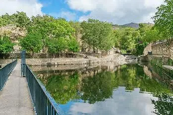 Acebuche En Valle Del Ambroz Casas del Monte