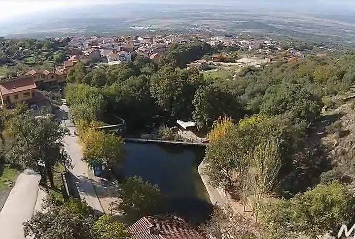 Acebuche En Valle Del Ambroz *